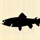 Silhouette of a lake trout.
